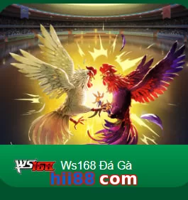 hii88 com